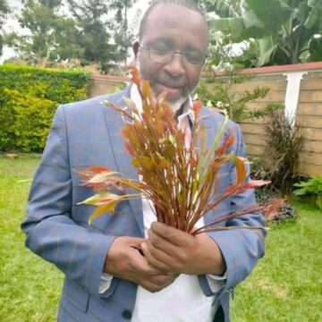 Poll Losers Redeemed by President Ruto