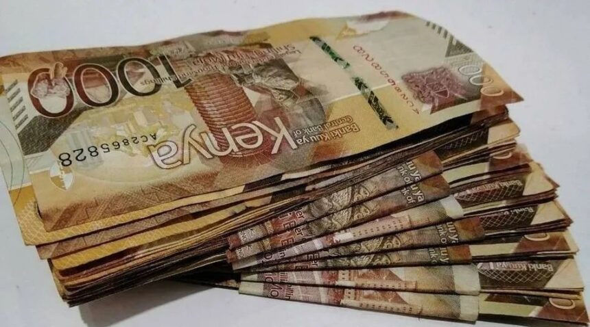 Hustler Fund Uptake crosses the 19 billion mark- CS Chelugui