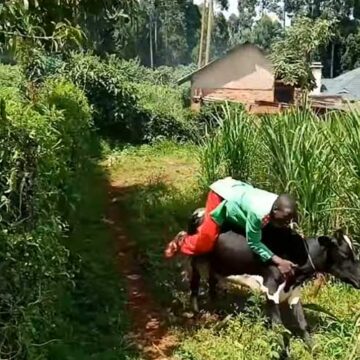 Embarambamba